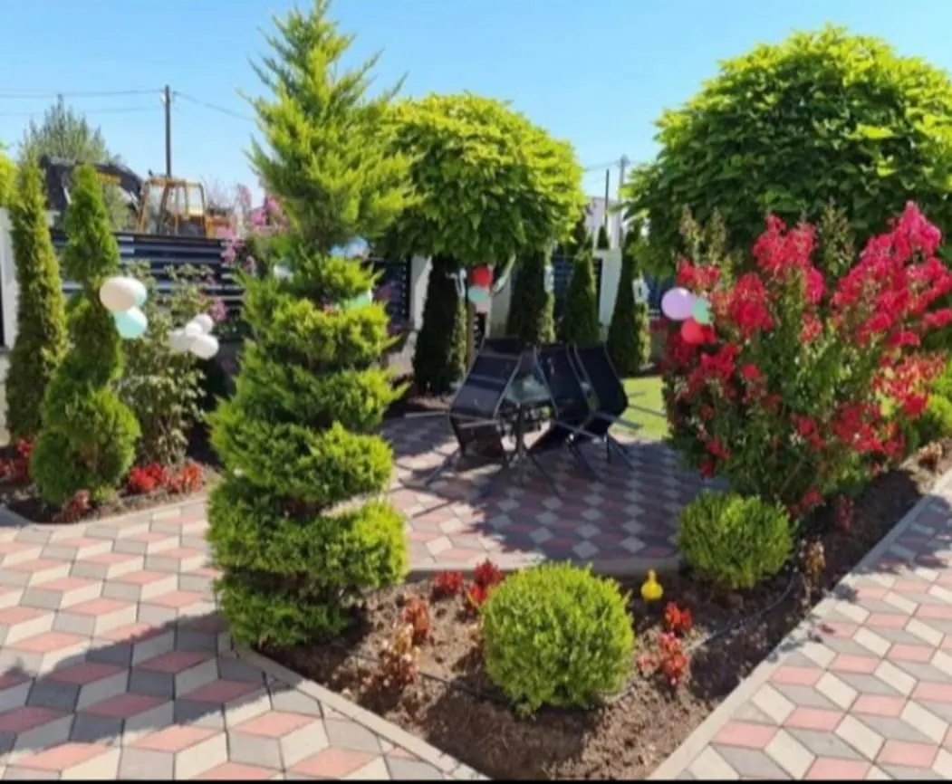 Bepflanzter Garten mit Formgehölzen und Pflasterfläche